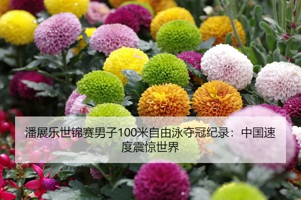 潘展乐世锦赛男子100米自由泳夺冠纪录：中国速度震惊世界