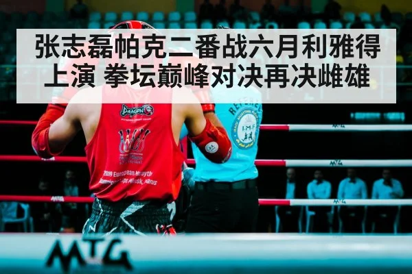 张志磊帕克二番战六月利雅得上演 拳坛巅峰对决再决雌雄