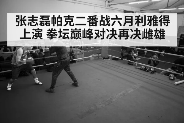 boxer training gym
